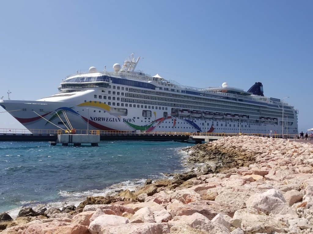 Cruise ship close to shore