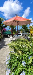 Patio with seating and tropical plants