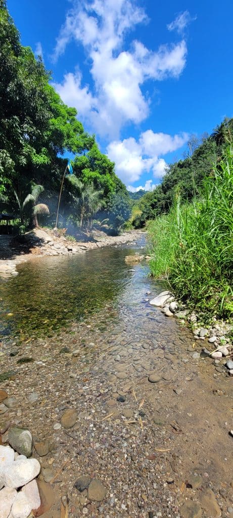 Creek in soufriere, st lucia