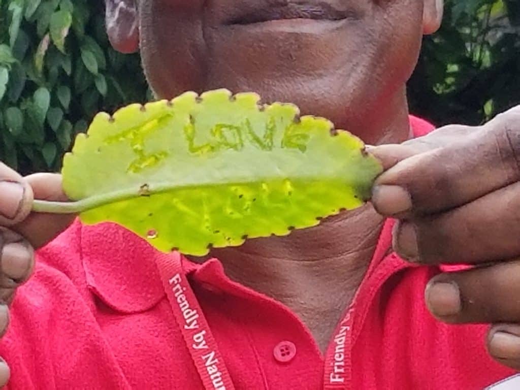 Leaf that says I Love You