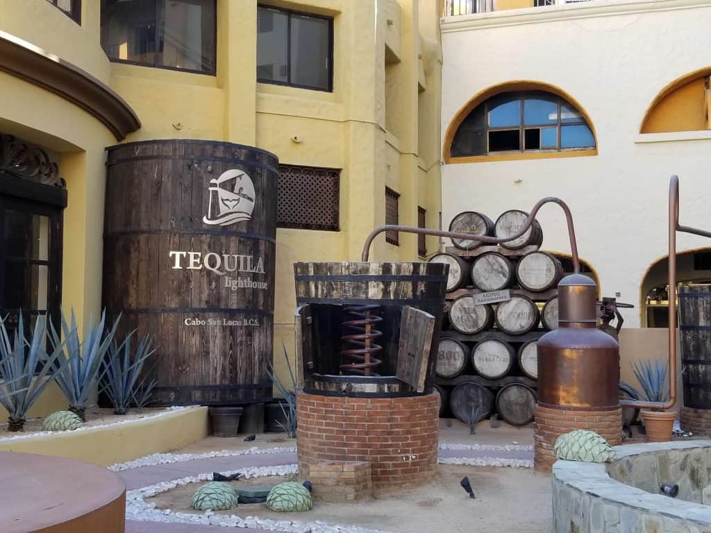 Tequila distiller in Mexico