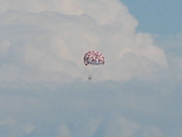 SHORE EXCURSION SEARCH visual data 7