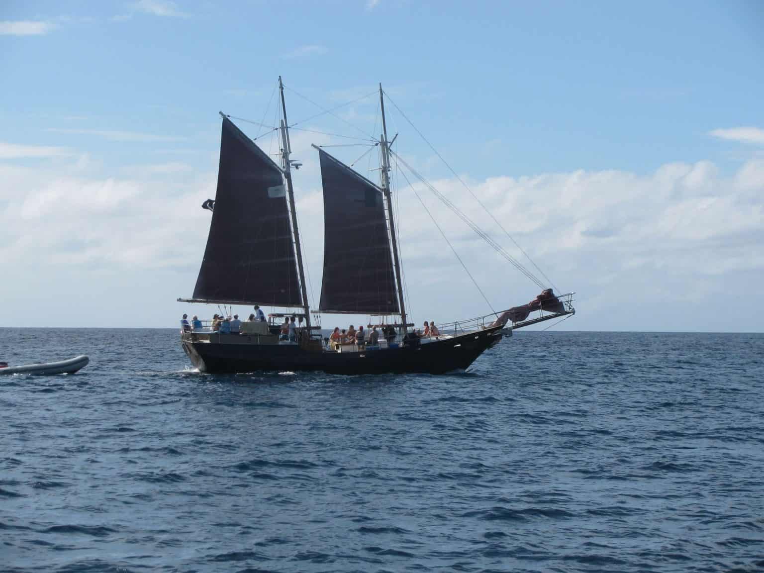 Ultimate Shore Excursion Guide: Your Questions Answered - Shore to Cruise