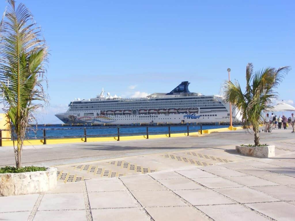 Norwegian cruise ship at port framed by palm trees