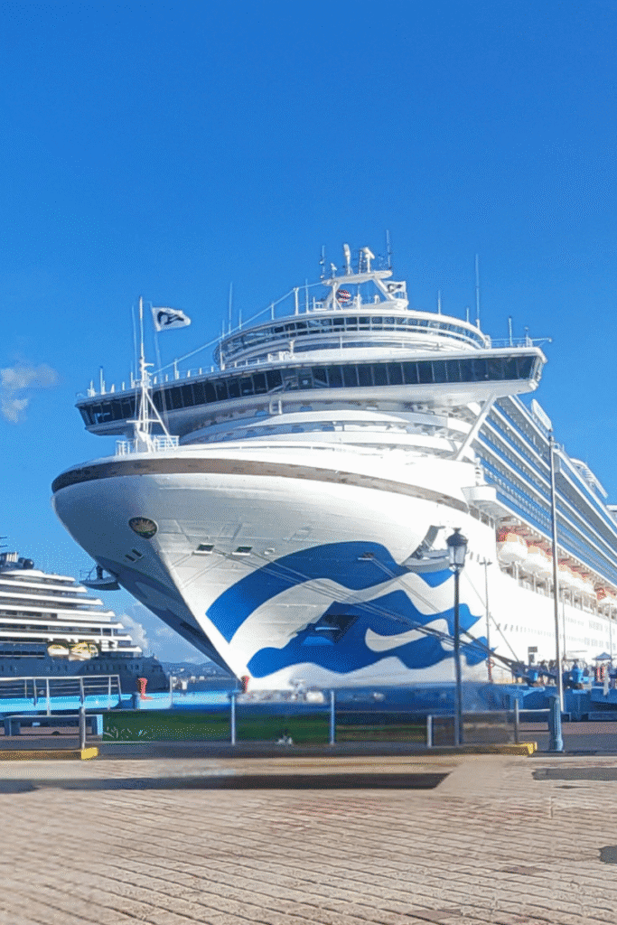 Princess Cruise Ship at Port