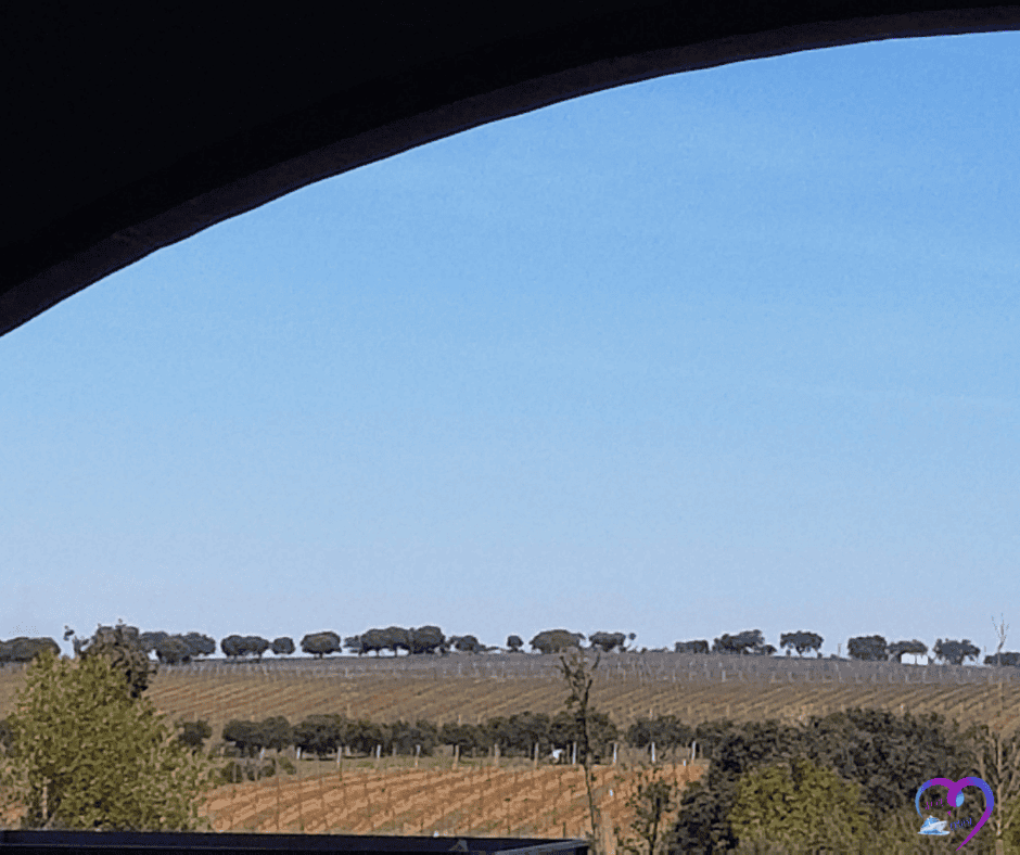 View of rolling European vineyards framed by an archway, symbolizing readiness for adventure.